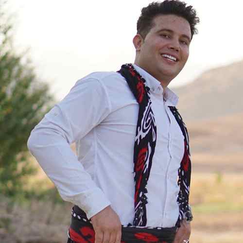 علی احمدیانی سرون لار